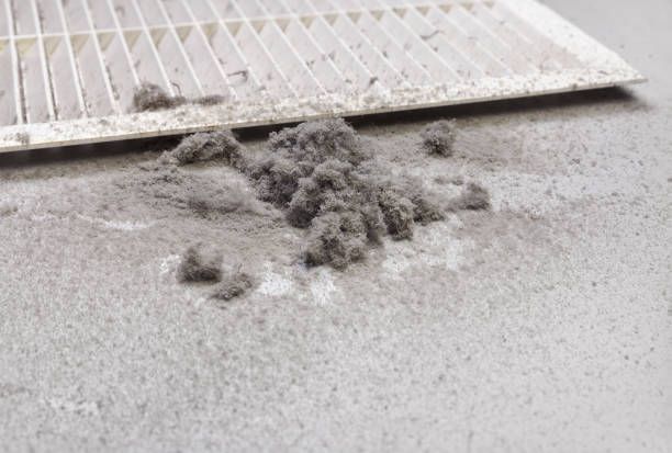 Best Dryer Vent Cleaning Services  in Gurnee, IL