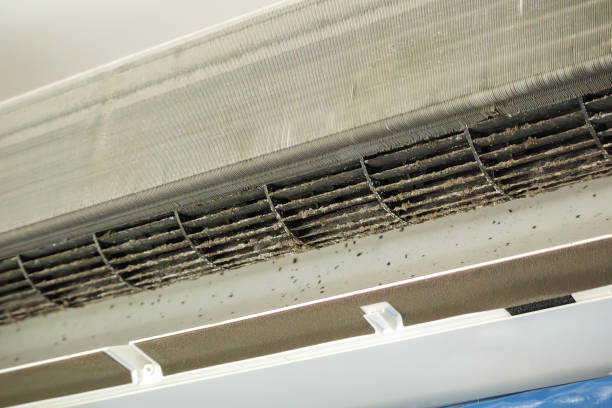 Best Home Air Vent Cleaning  in Gurnee, IL